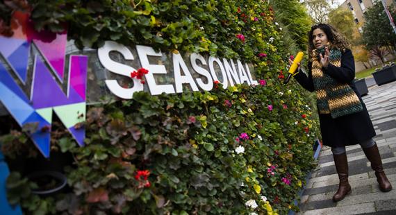 Ignition Green Wall on Cockcroft Building with Seasonal lettering